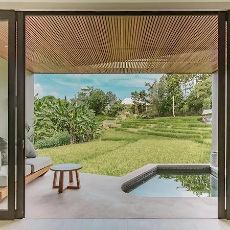 Spacious Luxury Apt With Private Pool, Central